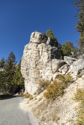 Silver Gate Mammoth Yellowstone NP 2024